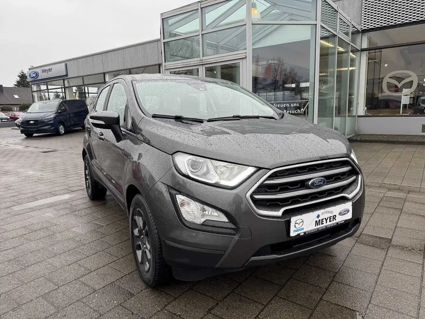 Ford EcoSport 1.0 EcoBoost Cool & Connect Winterpaket Gris - 1