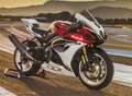 Suzuki GSX-R 1000 40th Anniversary Edition - ab sofort bestellbar Rojo - thumbnail 6