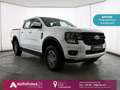 Ford Ranger 2.0 Ecoblue  XLT 4x4 Doppelkabine Blanco - thumbnail 1