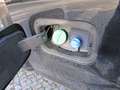 Ford F 350 F350  Top Truck  Crew Cab 12' TFT 10 Gang Platinum Rot - thumbnail 18