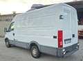 Iveco Daily 35/29 2.3L Isotermico Frigo - thumbnail 4