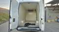 Iveco Daily 35/29 2.3L Isotermico Frigo - thumbnail 5