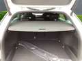 Skoda Octavia Combi RS 2.0 TDI+Navi+el.Panoramadach+Alufelgen+LE Weiß - thumbnail 5
