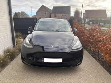 Model Y RWD