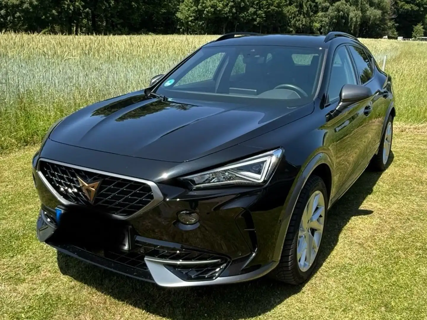 CUPRA Formentor Formentor 2.0 TDI 4Drive DSG Schwarz - 2