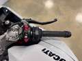 Ducati SuperSport 950S ICEBERG WHITE 2024 Bianco - thumbnail 11