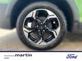 Ford Tourneo Courier 1.0 Active SHZ NAVI W-LAN ACC Grün - thumbnail 12