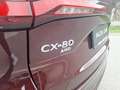 Mazda CX-80 CD254 AUT AWD HOMURA PLUS BLOP 7SITZE MY26 Rot - thumbnail 11