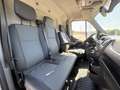 Renault Master Fg. dCi 81kW T L2H2 3500 Blanco - thumbnail 13