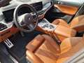 BMW X6 30d xDrive M SPORT "NEUWERTIG" ABSOLUT VOLL ! Gris - thumbnail 7