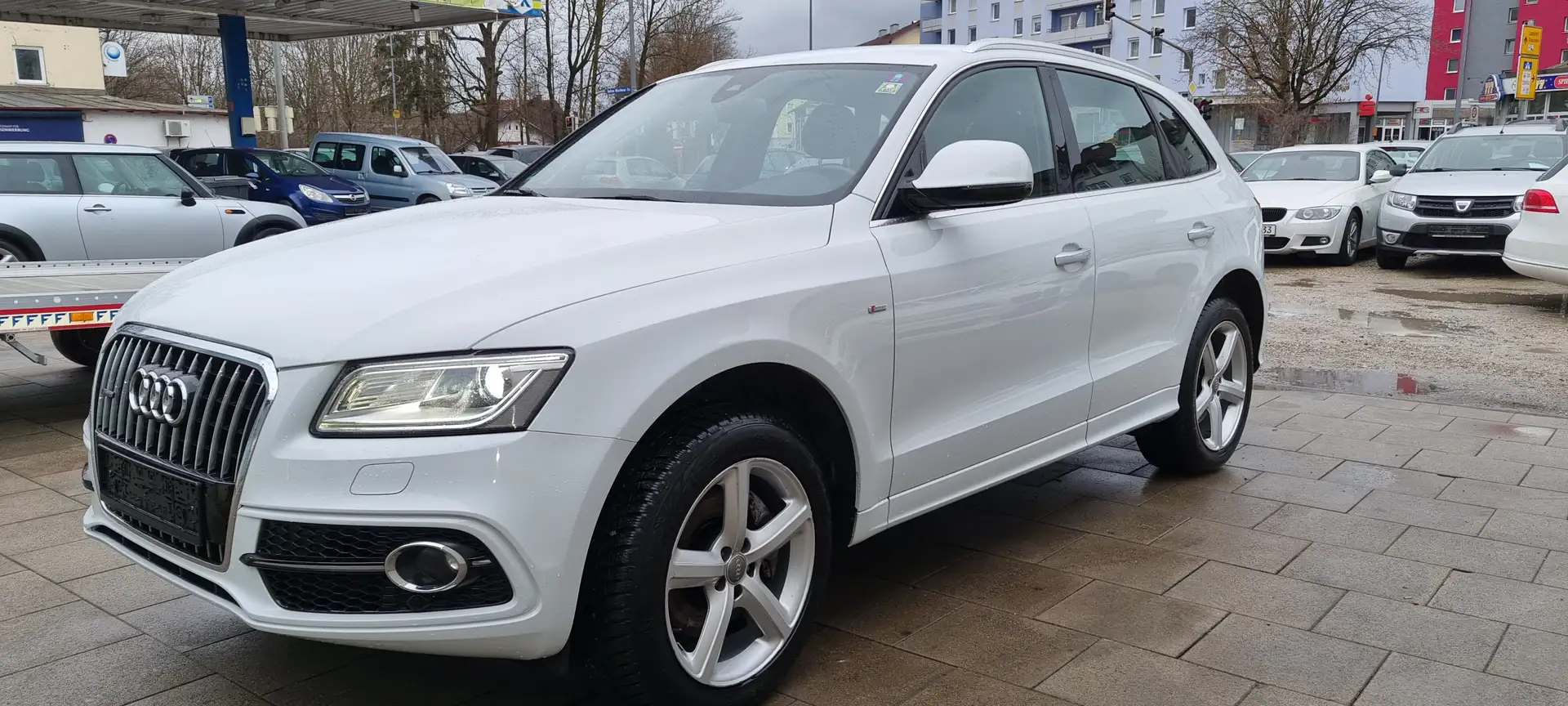 Audi Q5 3.0 TDI quattro (190kW) (8R) Weiß - 1