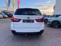 BMW X5 X5 xdrive30d Luxury 258cv auto Bianco - thumbnail 5