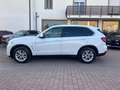 BMW X5 X5 xdrive30d Luxury 258cv auto Bianco - thumbnail 3