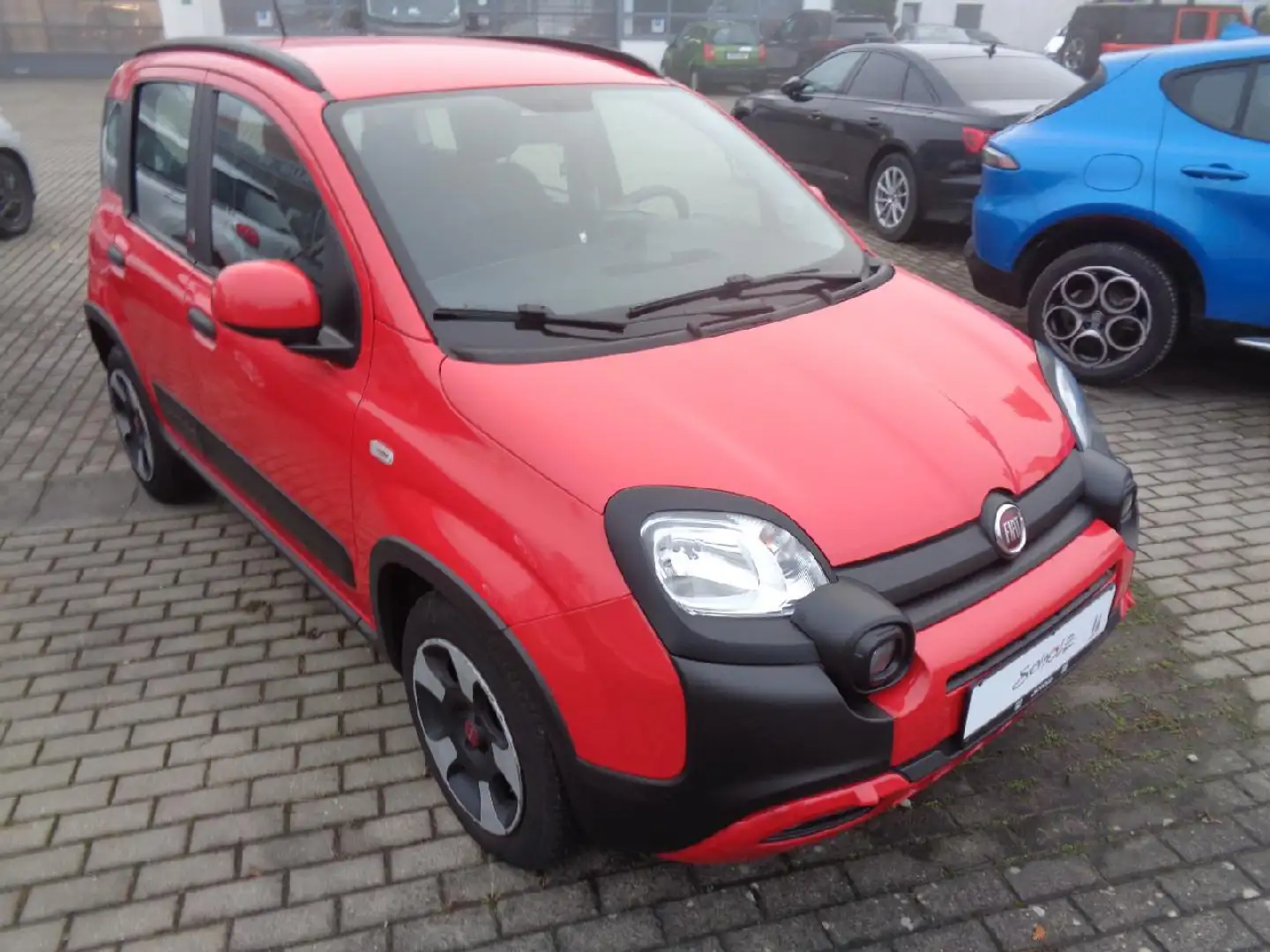 Fiat Panda Red Rot - 2