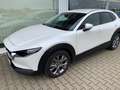 Mazda CX-30 SKY-G 2.0 M-Hybrid SELECT. A18 DES-P ACT-P LED-S Weiß - thumbnail 2