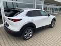 Mazda CX-30 SKY-G 2.0 M-Hybrid SELECT. A18 DES-P ACT-P LED-S Weiß - thumbnail 7