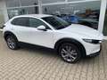 Mazda CX-30 SKY-G 2.0 M-Hybrid SELECT. A18 DES-P ACT-P LED-S Weiß - thumbnail 5