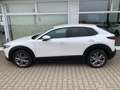 Mazda CX-30 SKY-G 2.0 M-Hybrid SELECT. A18 DES-P ACT-P LED-S Weiß - thumbnail 1