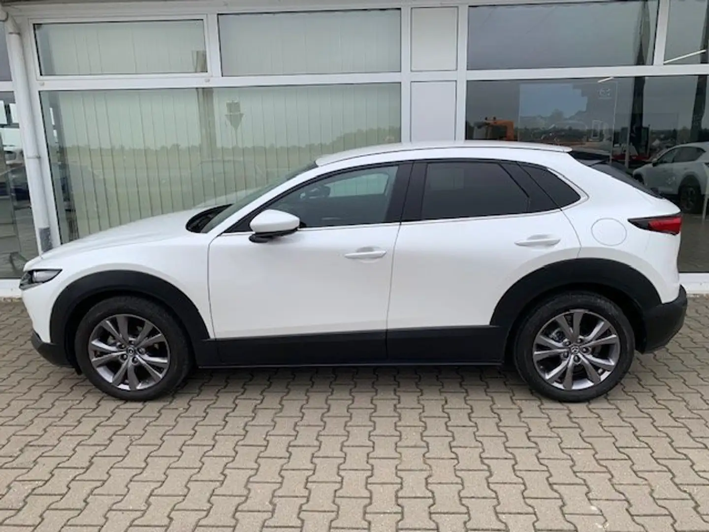 Mazda CX-30 SKY-G 2.0 M-Hybrid SELECT. A18 DES-P ACT-P LED-S Weiß - 1