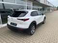 Mazda CX-30 SKY-G 2.0 M-Hybrid SELECT. A18 DES-P ACT-P LED-S Weiß - thumbnail 6
