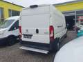 Peugeot Boxer L3/H2 3500+ NETTO 14.990.- Ohne Anzahlung 399.- Weiß - thumbnail 5