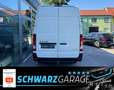 Hyundai H 350 Kasten L2H2 Eco*KLIMA*KAMERA* Weiß - thumbnail 14