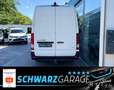 Hyundai H 350 Kasten L2H2 Eco*KLIMA*KAMERA* Weiß - thumbnail 6