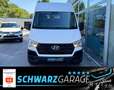 Hyundai H 350 Kasten L2H2 Eco*KLIMA*KAMERA* Weiß - thumbnail 18
