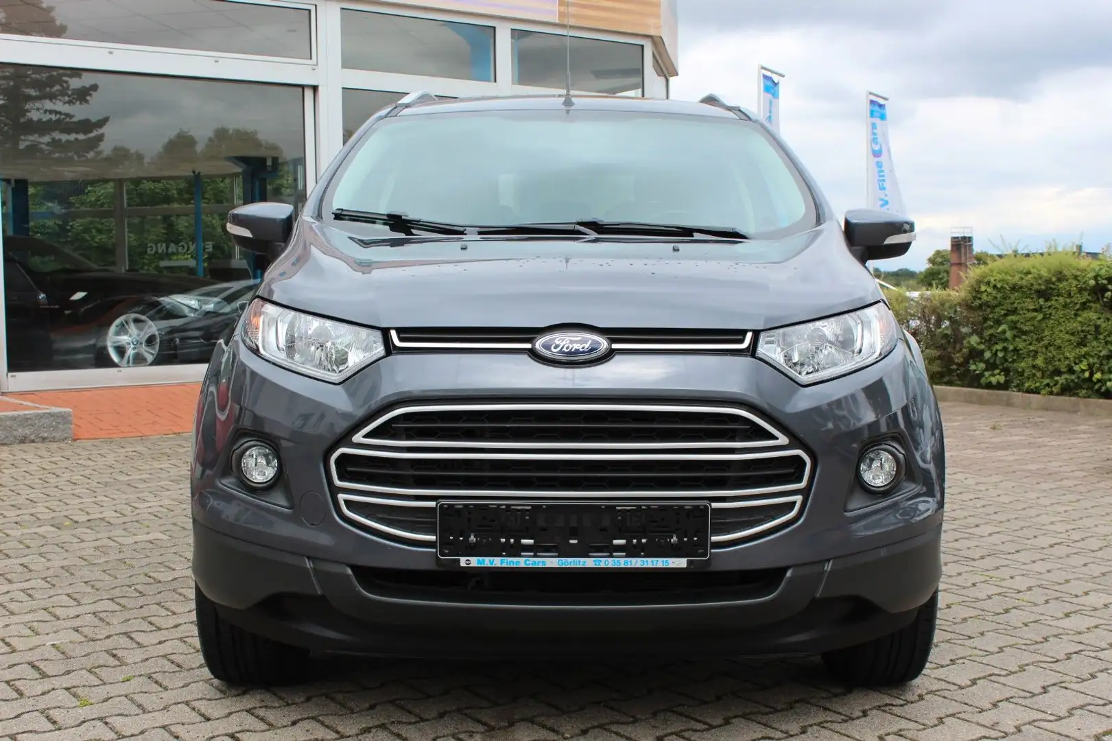 Ford EcoSport Trend Grau - 2