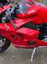 Ducati Panigale V4 S viele Extras Czerwony - thumbnail 11
