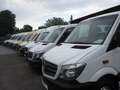 Mercedes-Benz Sprinter 314 CDI XXL Möbbelkoffer*2.48 Hoch* Rouge - thumbnail 17
