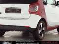 smart forTwo Fortwo Cabrio EQ EXCLUSIVE*22KW*WINTER Passion White - thumbnail 8