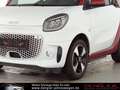 smart forTwo Fortwo Cabrio EQ EXCLUSIVE*22KW*WINTER Passion White - thumbnail 7