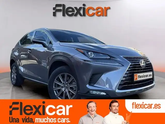 Lexus NX 300 300h Business 2WD