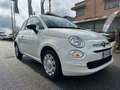 Fiat 500 500 1.0 hybrid 70cv Bianco - thumbnail 3