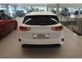 Kia Ceed / cee'd Vision*AKTIONSPREIS*Verkehrszeichenerkennung*RFK*S Weiß - thumbnail 4