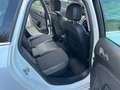 Opel Astra Sports Tourer 1.7 cdti Cosmo 130cv PERMUTABILE Bianco - thumbnail 12