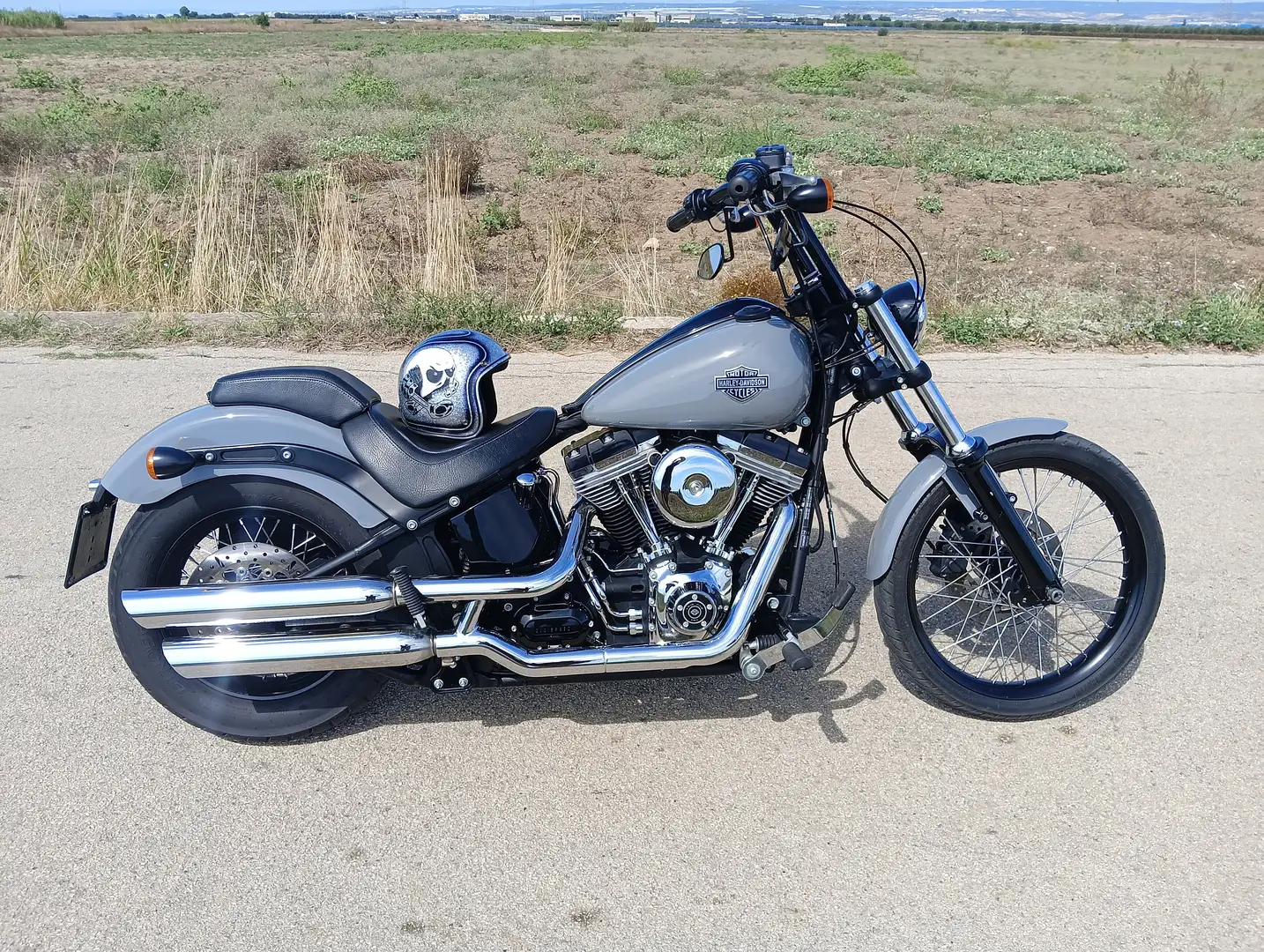 Harley-Davidson Softail Blackline Grigio - 1