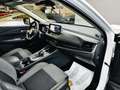 Nissan Qashqai 1.3 DIG-T mHEV 12V Acenta 4x2 Aut. 116kW Blanco - thumbnail 35