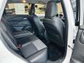 Nissan Qashqai 1.3 DIG-T mHEV 12V Acenta 4x2 Aut. 116kW Blanco - thumbnail 27
