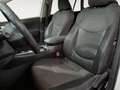 Toyota RAV 4 2.5 hybrid 2WD Business Blanco - thumbnail 8