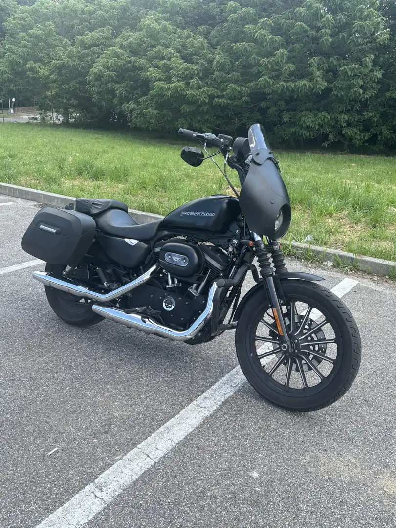 Harley-Davidson Sportster 883 L Iron - 2