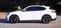 Alfa Romeo Stelvio Stelvio 2020 2.2 t Executive Q4 190cv auto Bianco - thumbnail 7