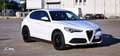 Alfa Romeo Stelvio Stelvio 2020 2.2 t Executive Q4 190cv auto Bianco - thumbnail 10