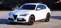Alfa Romeo Stelvio Stelvio 2020 2.2 t Executive Q4 190cv auto Bianco - thumbnail 9