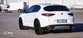 Alfa Romeo Stelvio Stelvio 2020 2.2 t Executive Q4 190cv auto Bianco - thumbnail 14