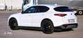 Alfa Romeo Stelvio Stelvio 2020 2.2 t Executive Q4 190cv auto Bianco - thumbnail 8