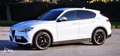 Alfa Romeo Stelvio Stelvio 2020 2.2 t Executive Q4 190cv auto Bianco - thumbnail 5
