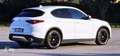 Alfa Romeo Stelvio Stelvio 2020 2.2 t Executive Q4 190cv auto Bianco - thumbnail 12