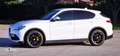 Alfa Romeo Stelvio Stelvio 2020 2.2 t Executive Q4 190cv auto Bianco - thumbnail 6